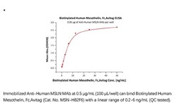 ACROBiosystems Recombinant Protein;Biotinylated Human Mesothelin / MSLN