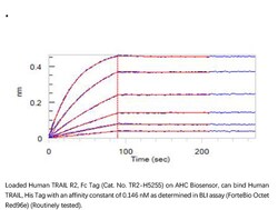 ACROBiosystems Recombinant Protein;Human TRAIL R2 / DR5 / TNFRSF10B Protein,