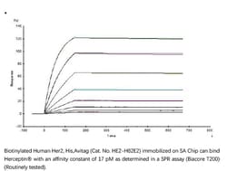 ACROBiosystems Recombinant Protein;Biotinylated Human Her2 / ErbB2 Protein,