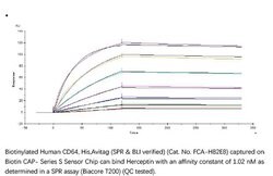 ACROBiosystems Recombinant Protein;Biotinylated Human Fc gamma RI / CD64