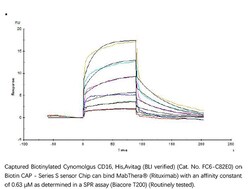 ACROBiosystems Recombinant Protein;Biotinylated Cynomolgus Fc gamma RIII /