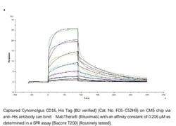 ACROBiosystems Recombinant Protein;Cynomolgus Fc gamma RIII / CD16 Protein;HEK293;100UG;FC6,FCGR3,Fc-gamma