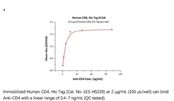 ACROBiosystems Recombinant Protein;Human CD4 Protein;HEK293;200UG;LE3,CD4,CD-4,CD4mut,CD-4mut,LEU3,LEU-3,