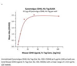 ACROBiosystems Recombinant Protein;Cynomolgus CD40 / TNFRSF5 Protein;HEK293;100UG;CD0,CD40,CD-40,Bp50,Bp-50,CDW40,MGC9013,TNFRSF5,TNFRSF-5,p50,p-50,