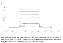 ACROBiosystems Recombinant Protein;Biotinylated Human Fc gamma RIIA / CD32a