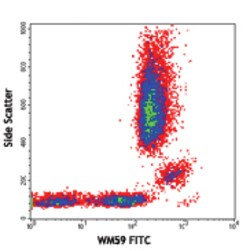 Biolegend FITC anti-human CD31, Quantity: Each of 1
