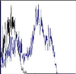 Biolegend Alexa Fluor 700 anti-human CD45RA, Quantity: Each of 1