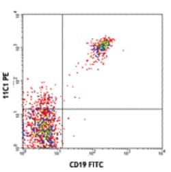 Biolegend PE anti-human CD268 (BAFF-R), Quantity: Each of 1