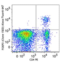Biolegend Alexa Fluor 647 anti-mouse/rat/human FOXP3, Quantity: Each of