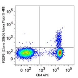 Biolegend Alexa Fluor 488 anti-human FOXP3, Quantity: Each of 1