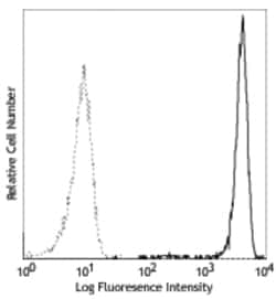 Biolegend PE anti-human CD182 (CXCR2), Quantity: Each of 1