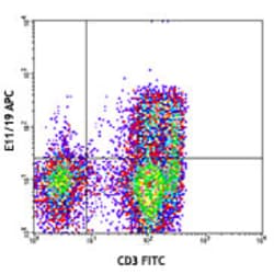 Biolegend APC anti-human CD195 (CCR5) Phospho (Ser349), Quantity: Each