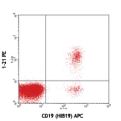 Biolegend PE anti-human TCL1, Quantity: Each of 1