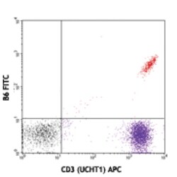 Biolegend FITC anti-human TCR Vδ2, Quantity: Each of 1