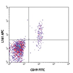 Biolegend APC anti-human CD1c, Quantity: Each of 1