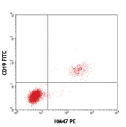 Biolegend PE anti-human CD79a (Igα), Quantity: Each of 1
