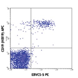 Biolegend PE anti-human CD23, Quantity: Each of 1