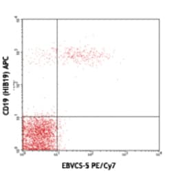 Biolegend PE/Cyanine7 anti-human CD23, Quantity: Each of 1