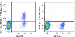 Biolegend PerCP/Cyanine5.5 anti-human CD23, Quantity: Each of 1