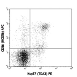 Biolegend PE anti-human Ksp37 (FGFBP2), Quantity: Each of 1