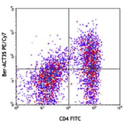 Biolegend PE/Cyanine7 anti-human CD134 (OX40), Quantity: Each of 1