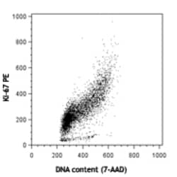 Biolegend PE anti-human Ki-67, Quantity: Each of 1