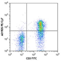 Biolegend PE/Cyanine7 anti-human CD127 (IL-7Rα), Quantity: Each of 1