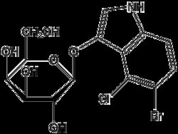 AdipoGen X-Gal (250 mg), Quantity: Each of 1