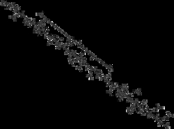 AdipoGen Semaglutide . AcOH (1 mg), Quantity: Each of 1