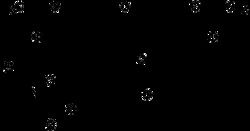 AdipoGen&nbsp;5(6)-CFDA N-succinimidyl ester (50 mg)