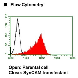 MBL International Corporation Anti-SynCAM (TSLC1/CADM1) mAb-FITC (Monoclonal