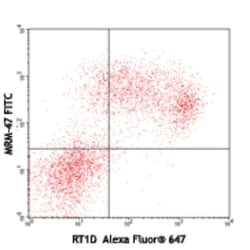 Biolegend FITC anti-rat IgM [MRM-47]; Isotype: Mouse IgG; Reactivity: Rat;