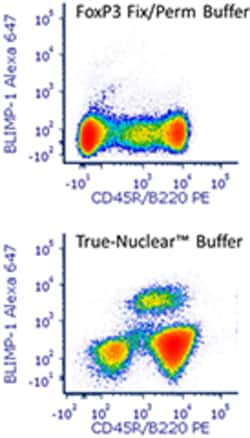 Biolegend FOXP3 Perm Buffer (10X), Quantity: Each of 1