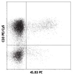Biolegend Purified anti-human IFN-γ, Quantity: Each of 1