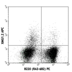 Biolegend APC anti-mouse IFN-γ, Quantity: Each of 1