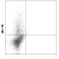 Biolegend PE anti-rat IFN-γ, Quantity: Each of 1