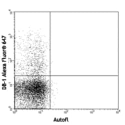 Biolegend Alexa Fluor 647 anti-rat IFN-γ, Quantity: Each of 1