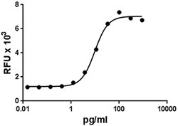 Biolegend Recombinant Human IL-1α (carrier-free), Quantity: Each of 1