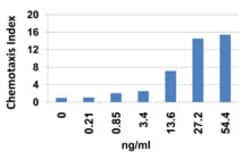 Biolegend Recombinant Human CCL2 (MCP-1) (carrier-free), Quantity: Each