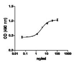 Biolegend Recombinant Human FGF-basic/145aa (carrier-free), Quantity: Each