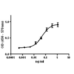 Biolegend Recombinant Human IL-12 (p70) (carrier-free), Quantity: Each