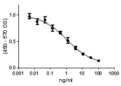 Biolegend Recombinant Mouse IL-12 p40 Homodimer (carrier-free), Quantity: