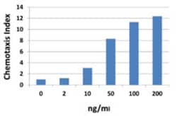 Biolegend Recombinant Mouse CXCL5 (LIX) (carrier-free), Quantity: Each