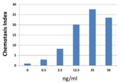 Biolegend Recombinant Human CXCL5 (ENA-78) (carrier-free), Quantity: Each