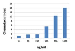 Biolegend Recombinant Mouse CXCL10 (IP-10) (carrier-free), Quantity: Each