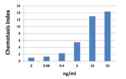 Biolegend Recombinant Mouse CXCL1 (KC) (carrier-free), Quantity: Each of
