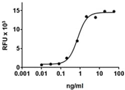 Biolegend Recombinant Human CCL17 (TARC) (carrier-free), Quantity: Each