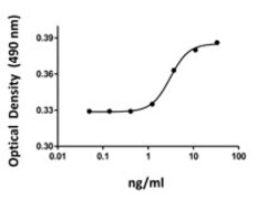 Biolegend Recombinant Human SCF (carrier-free), Quantity: Each of 1