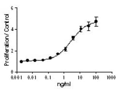 Biolegend Recombinant Mouse IL-4 (carrier-free), Quantity: Each of 1