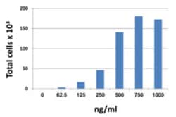 Biolegend Recombinant Human CXCL13 (carrier-free), Quantity: Each of 1